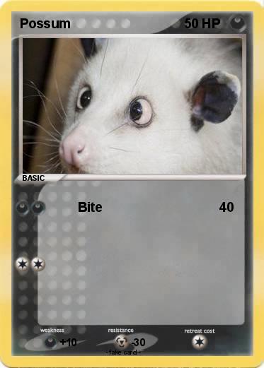 Pokemon Possum