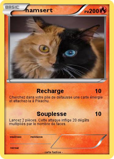 Pokemon hamsert