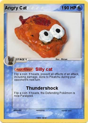 Pokemon Angry Cat