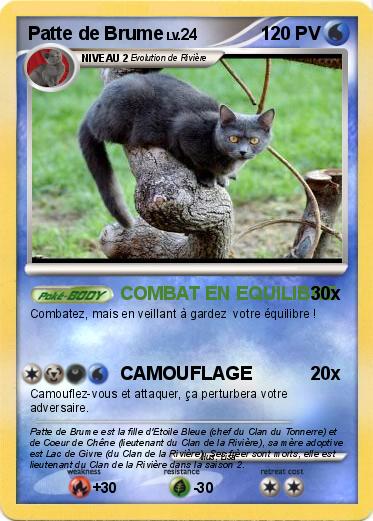 Pokemon Patte de Brume