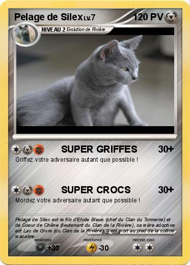 Pokemon Pelage de Silex
