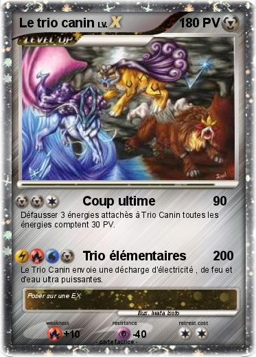 Pokemon Le trio canin