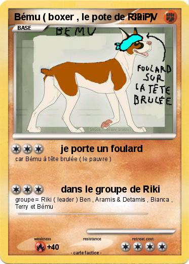 Pokemon Bému ( boxer , le pote de Riki  )