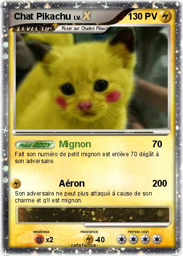 Pokemon Chat Pikachu