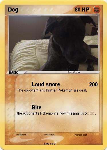 Pokemon Dog