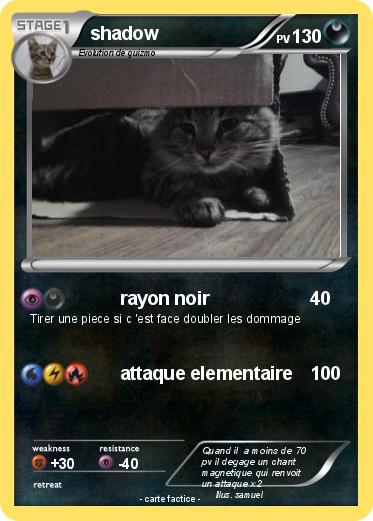 Pokemon shadow