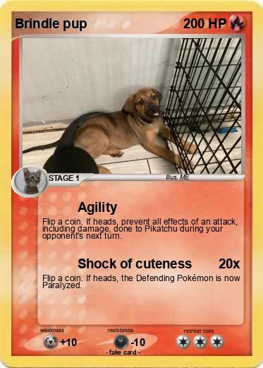 Pokemon Brindle pup