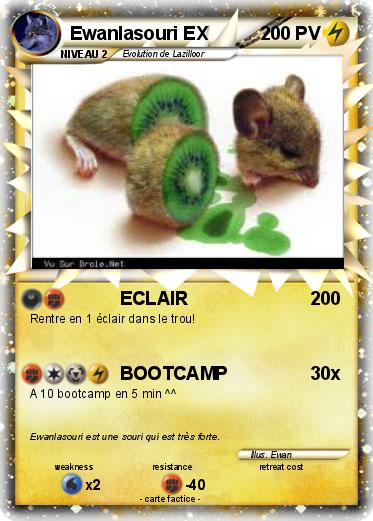 Pokemon Ewanlasouri EX