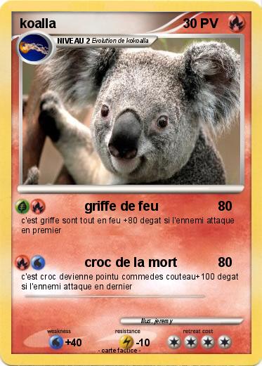 Pokemon koalla