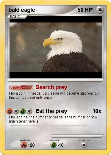 Pokemon bald eagle