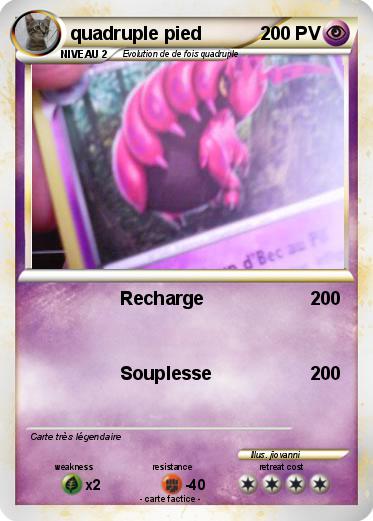 Pokemon quadruple pied