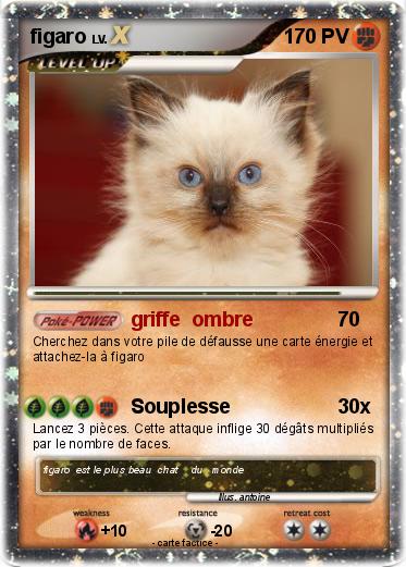 Pokemon figaro