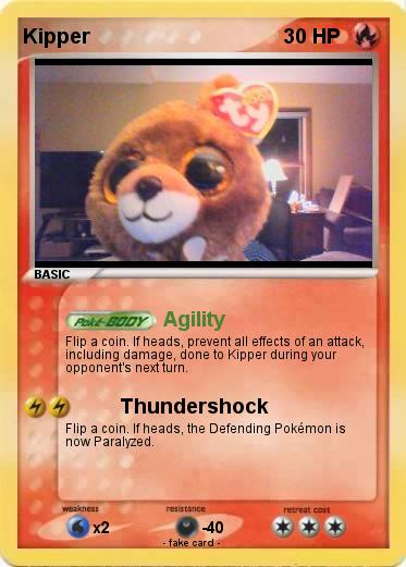 Pokemon Kipper