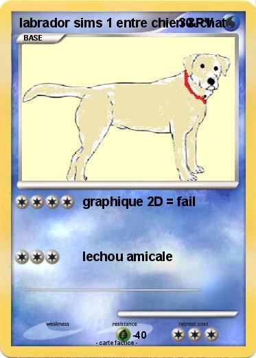 Pokemon labrador sims 1 entre chien & chat