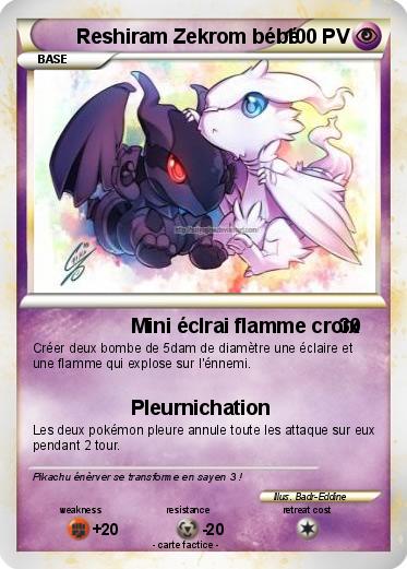 Pokemon Reshiram Zekrom bébé