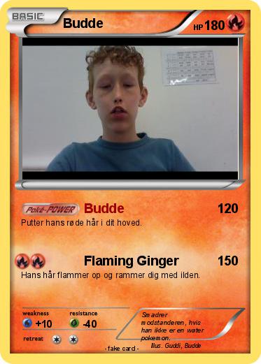 Pokemon Budde