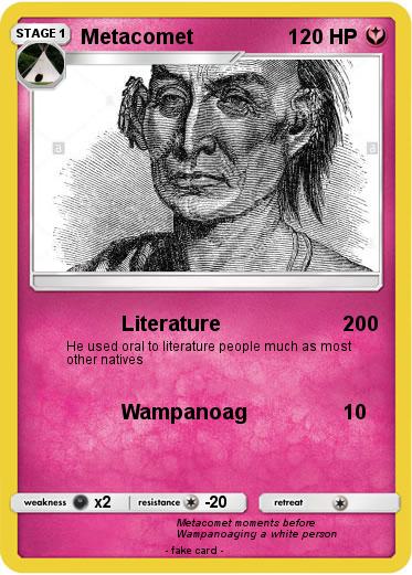 Pokemon Metacomet