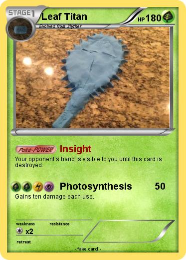 Pokemon Leaf Titan