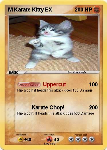 Pokemon M Karate Kitty EX