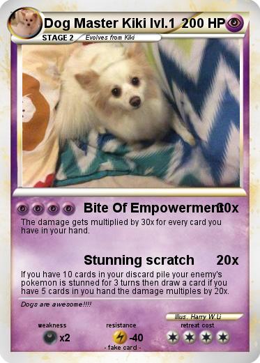 Pokemon Dog Master Kiki lvl.1