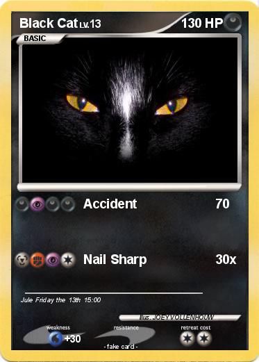 Pokemon Black Cat