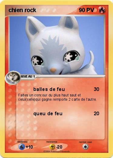 Pokemon chien rock