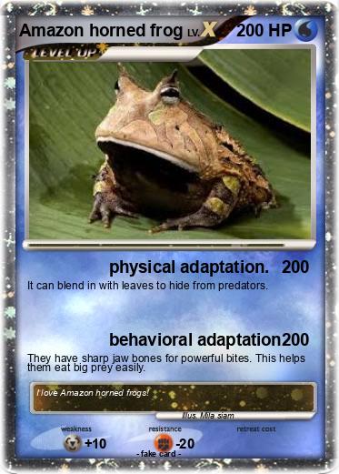 Pokemon Amazon horned frog