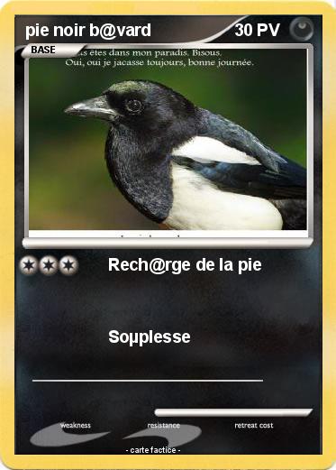 Pokemon pie noir b@vard