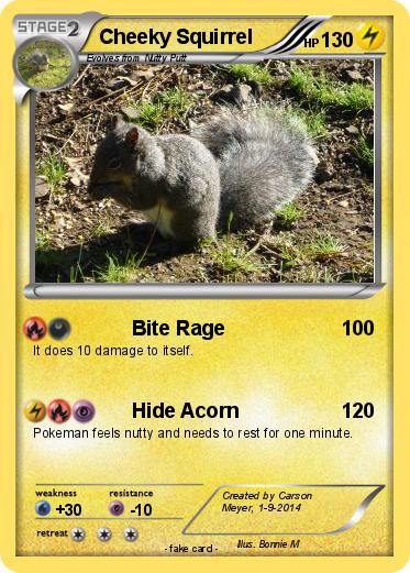 Pokemon Cheeky Squirrel
