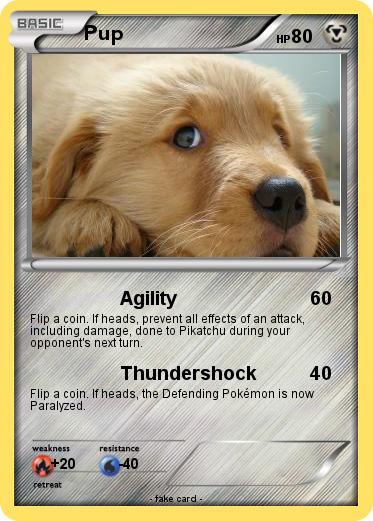 Pokemon Pup