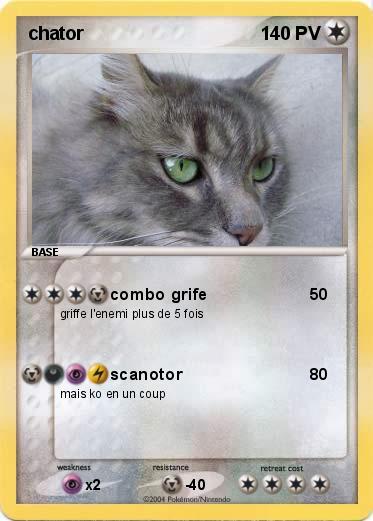 Pokemon chator 