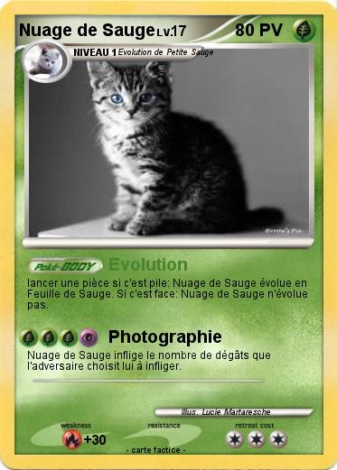 Pokemon Nuage de Sauge