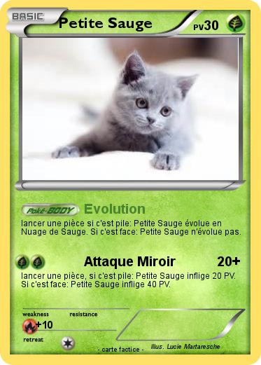 Pokemon Petite Sauge