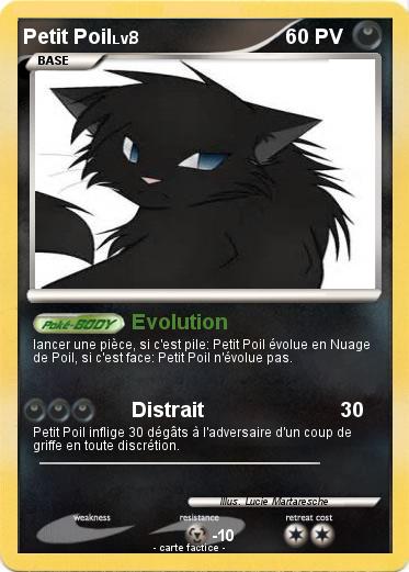 Pokemon Petit Poil