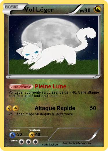 Pokemon Vol Léger