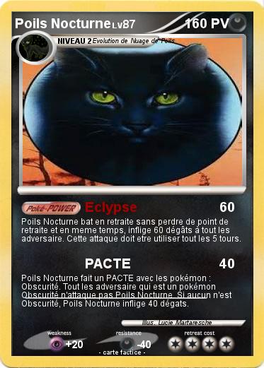 Pokemon Poils Nocturne