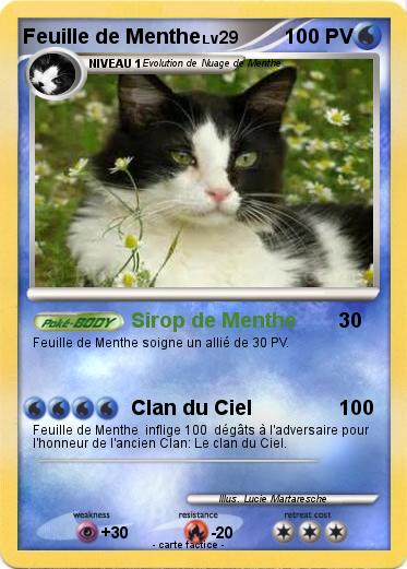 Pokemon Feuille de Menthe