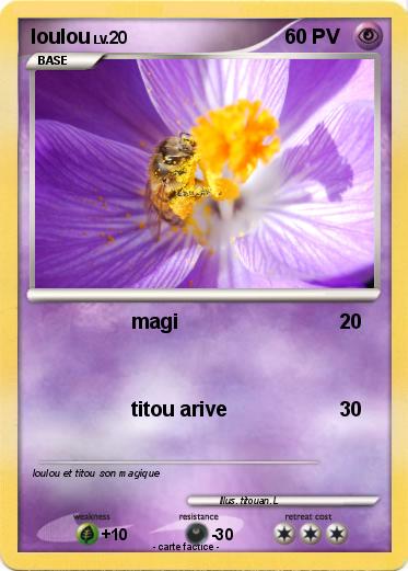 Pokemon loulou