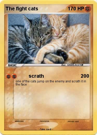 Pokemon The fight cats
