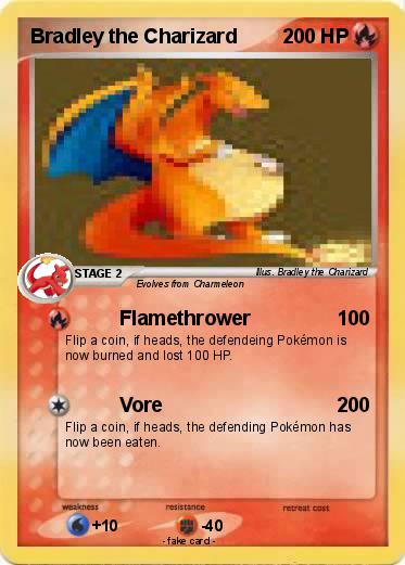 Pokemon Bradley the Charizard