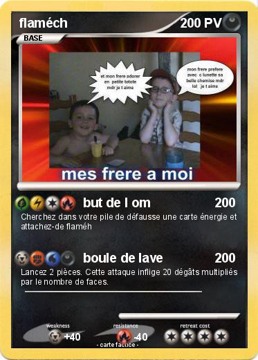Pokemon flaméch