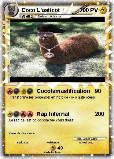Pokemon Coco L'asticot