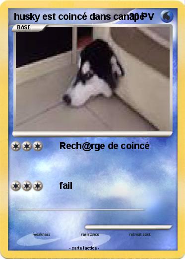 Pokemon husky est coincé dans canapé