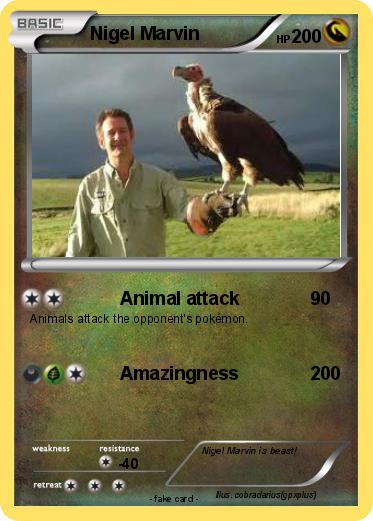 Pokemon Nigel Marvin
