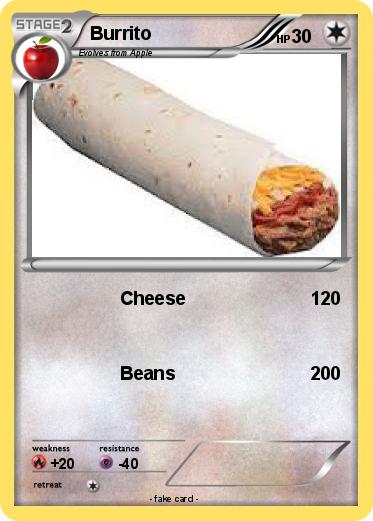 Pokemon Burrito