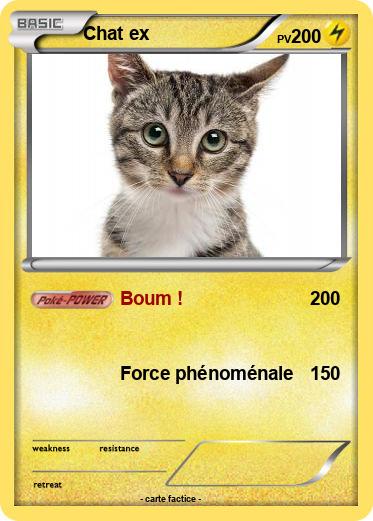 Pokemon Chat ex