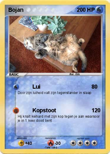 Pokemon Bojan
