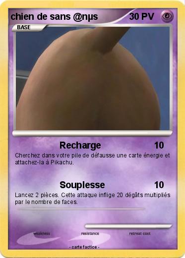 Pokemon chien de sans @nµs