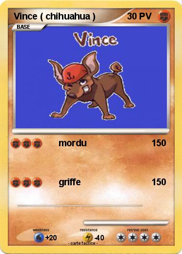 Pokemon Vince ( chihuahua )