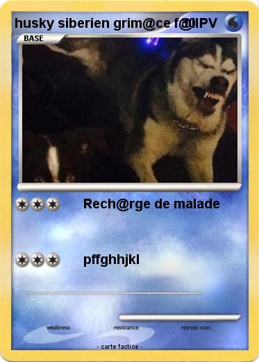 Pokemon husky siberien grim@ce f@il
